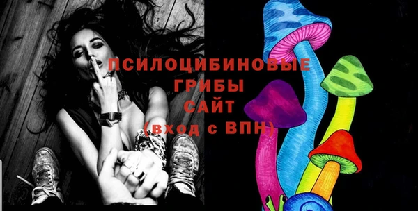 шишки Балабаново