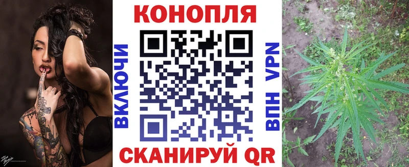 наркошоп  Трубчевск  Бошки марихуана MAZAR 